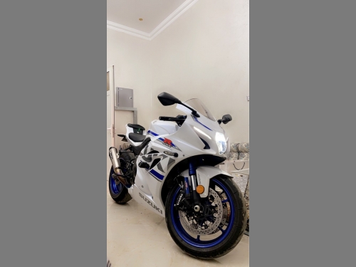 Suzuki GSX-R 1000   2018